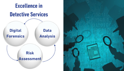 Detective Services in India